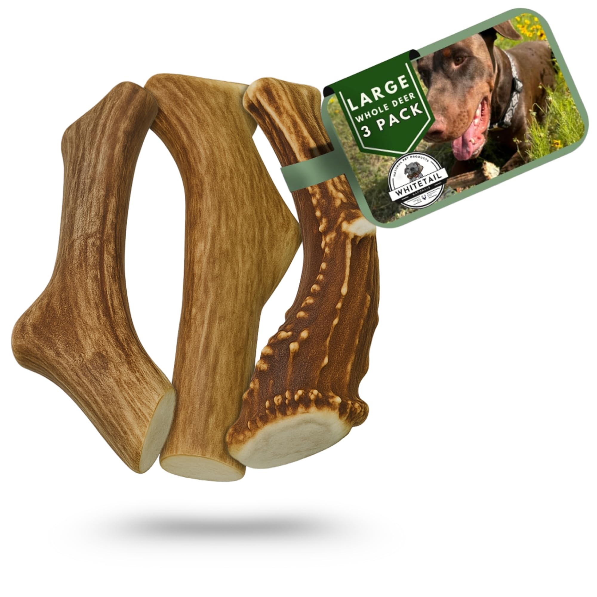 VENISON ANTLER LL２個、L 1個の3個セット送料込、匿名配送‼️ Amazon.com : WhiteTail Naturals (3 Pack Deer Antlers for Large